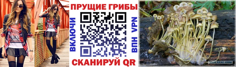 Галлюциногенные грибы мухоморы  Большой Камень 