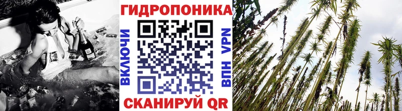 где продают наркотики  Большой Камень  Конопля конопля 